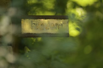 Old gilded sign with the inscription Women, weathered and surrounded by green vegetation,