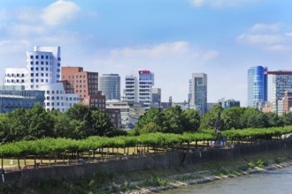 Media Harbour, modern architecture on the Rhine, Düsseldorf, Rhineland, North Rhine-Westphalia,