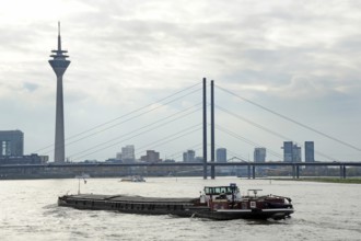 Inland navigation in front of the Rheinkniebrücke, behind it the Rheinturm, TV tower, Düsseldorf,