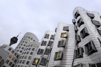 Rhine Tower and Neuer Zollhof, Gehry buildings, modern architecture at the commercial harbour,