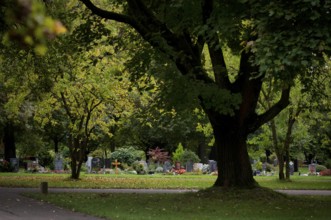 Graves, under trees, Main Cemetery, Stuttgart, Baden-Württemberg, Germany