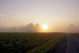 Landscape, morning, fog, sunrise, mood, autumn, road, Germany, The rising sun shines over a field