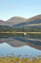A peaceful body of water reflecting the surrounding mountains and a clear blue sky, Loch Eil,