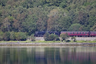 A steam train passes through a wooded area alongside a tranquil body of water, Hogwarts Express,
