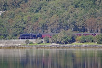 Steam train travelling along a loch, surrounded by dense forest and reflecting water, Hogwarts