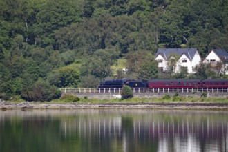 A train travelling along a loch, past houses and a dense green forest, Hogwarts Express, Jacobite