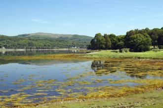 A still loch reflects the blue sky and surrounding green landscape, Loch Eil, Scotland, United