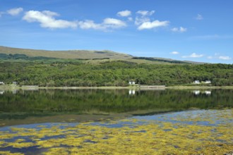A clear mountain loch reflects the surrounding green hills and blue sky, Loch Eil, Scotland, United
