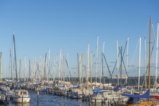 Strande marina near Kiel, Rendsburg-Eckernförde district, AIDA, ship masts, dolphins, Baltic Sea,