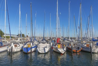 Strande marina near Kiel, Rendsburg-Eckernförde district, ship masts, water reflection, dolphins,