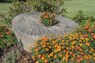 Old millstone as decoration in a flower bed, Münsterland, North Rhine-Westphalia, Germany