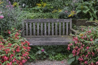 Garden bench made of weathered wood, North Rhine-Westphalia, Germany