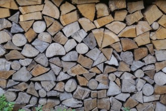 Wood pile, firewood, wood supply, North Rhine-Westphalia, Germany