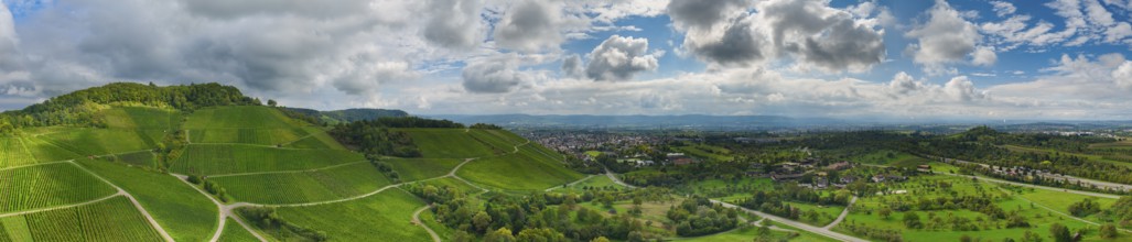 Sweeping panorama with green vineyards and a cloudy sky