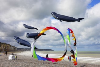 Kite festival on the beach, international kite festival, kites in the shape of whales, Dieppe,