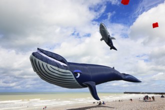 Kite festival on the beach, international kite festival, kites in the shape of whales, Dieppe,