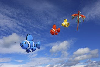 Kite Festival, International Kite Festival, Dieppe, Normandy, France