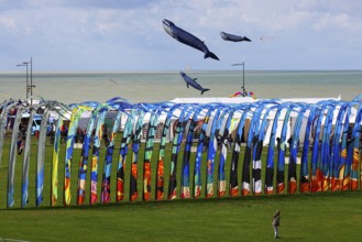 Kite Festival, International Kite Festival, Dieppe, Normandy, France