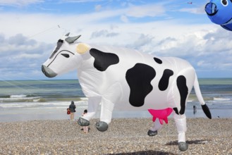 Kite festival, international kite festival, kite in the shape of a cow, Dieppe, Normandy, France