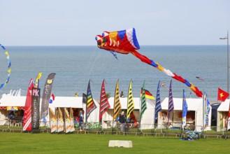 Kite festival on the beach, International Kite Festival, Dieppe, Normandy, France