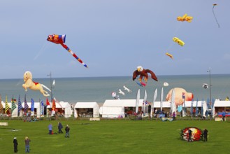 Kite festival on the beach, International Kite Festival, Dieppe, Normandy, France