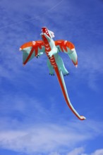 Kite festival, international kite festival, kite in the shape of a kite, Dieppe, Normandy, France