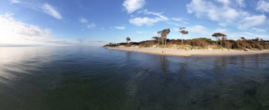Drone image, panorama of the west beach on the Fischland Darß peninsula, Mecklenburg-Vorpommern,