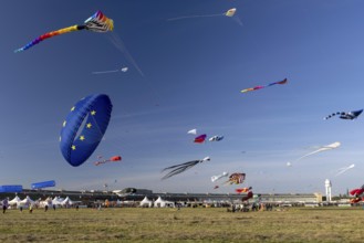 CITY AND COUNTRY Festival of GIANT DRAGONS 2025, 27 September 2025, Tempelhofer Feld, Berlin,