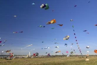 CITY AND COUNTRY Festival of GIANT DRAGONS 2025, 27 September 2025, Tempelhofer Feld, Berlin,