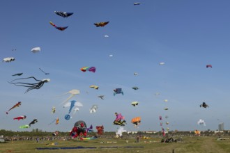 CITY AND COUNTRY Festival of GIANT DRAGONS 2025, 27 September 2025, Tempelhofer Feld, Berlin,