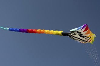 CITY AND COUNTRY Festival of GIANT DRAGONS 2025, 27 September 2025, Tempelhofer Feld, Berlin,