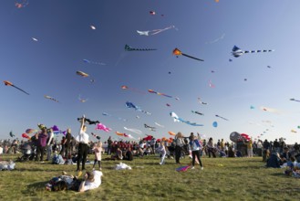 CITY AND COUNTRY Festival of GIANT DRAGONS 2025, 27 September 2025, Tempelhofer Feld, Berlin,