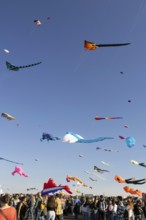 CITY AND COUNTRY Festival of GIANT DRAGONS 2025, 27 September 2025, Tempelhofer Feld, Berlin,