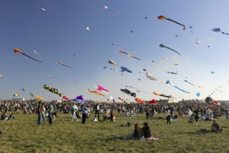 CITY AND COUNTRY Festival of GIANT DRAGONS 2025, 27 September 2025, Tempelhofer Feld, Berlin,