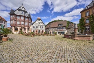 Old town, historic half-timbered houses, fountain, market fountain, cobblestone square, outdoor