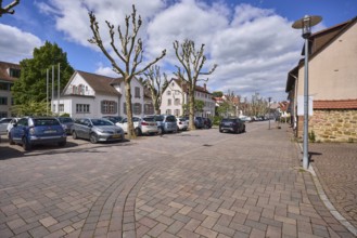 Multi-family houses, general architecture, lantern, parking boxes, cars, bare winter trees, blue