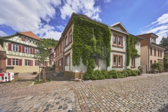 Old town, general architecture, historic buildings, half-timbered house, city tree, cobblestone