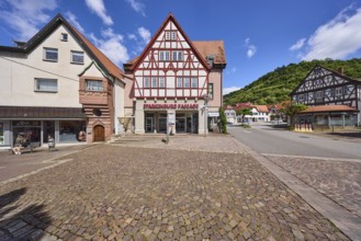 Starkenburg Passage, Schlossberg, pedestrian zone, shopping centre, hill, half-timbered houses,