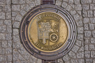 Manhole cover, district town of Heppenheim, golden, pavement made of paving stones, rain gutter,