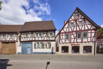 ROTWILD Store Heppenheim, bicycle shop, half-timbered houses, facade with windows, shutters and