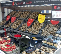 Oyster stall at the oyster market in Cancale, Brittany, France