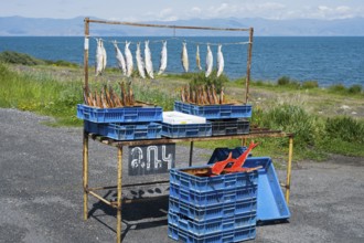Fish hanging on a stall on the shore of a lake, wide landscape in the background, fish sale on the