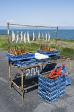 An improvised stall selling fresh and smoked fish near a lake under a clear sky, fish sale on the