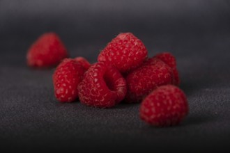 Red raspberries on dark background, selective focus