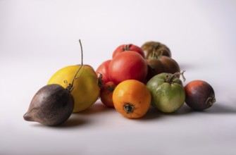 Red, yellow, black tomatoes of new crop on white background