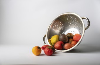 Tomatoes of the new harvest poured out of a colander, on a white background, copy space