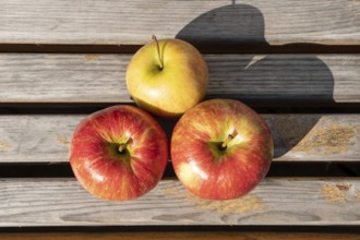 Three apples are lying on a wooden bench with a shadow
