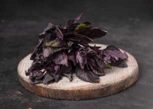 Bunch of basil lies on round wooden board on dark background