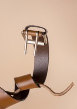 A red belt wrapped around a branch like a snake, with space for text on a beige background