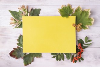 Yellow blank card, greeting card concept with leaves, fall and autumn